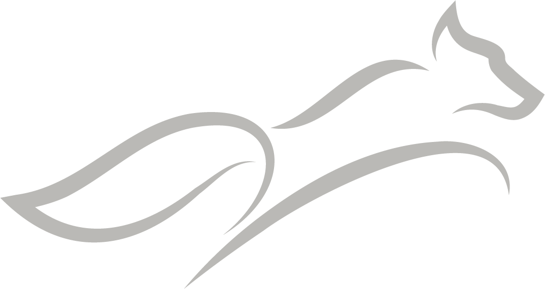 Gapp Advisors Fox Logo
